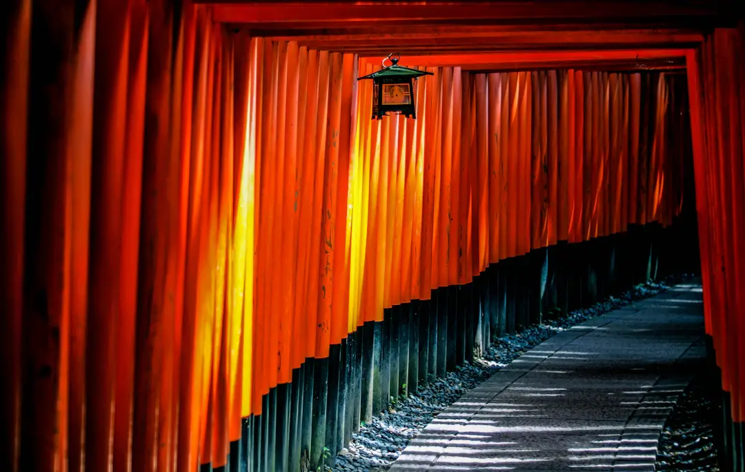 Bois traditionnel japonais